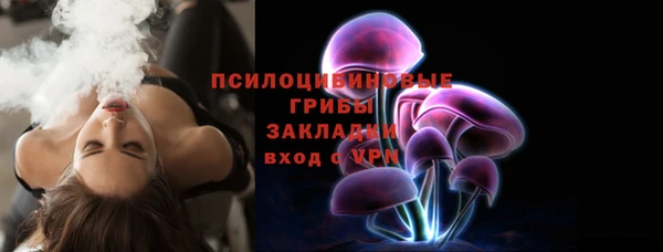 дмт Заводоуковск