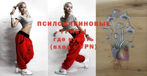 дмт Заводоуковск